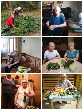 Тепло души, плоды земли – фронтовикам