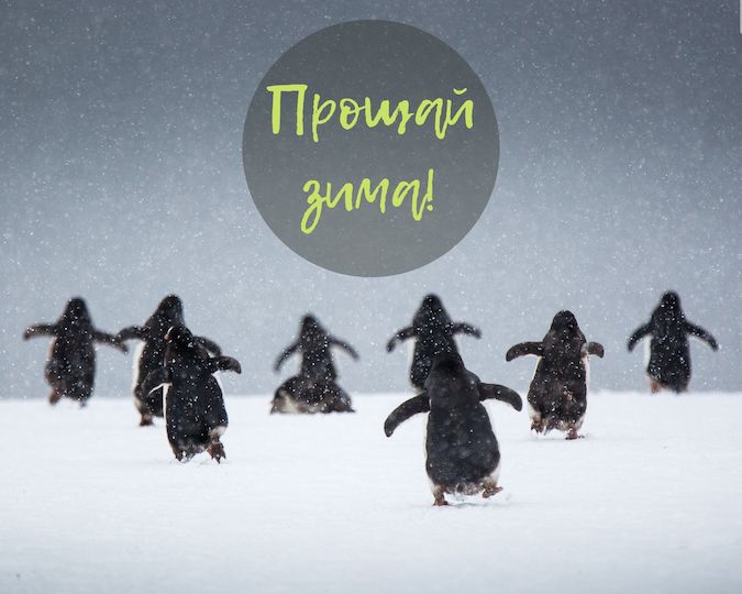 Тестовая новость Егорьевского местного отделения – Прощай, зима!